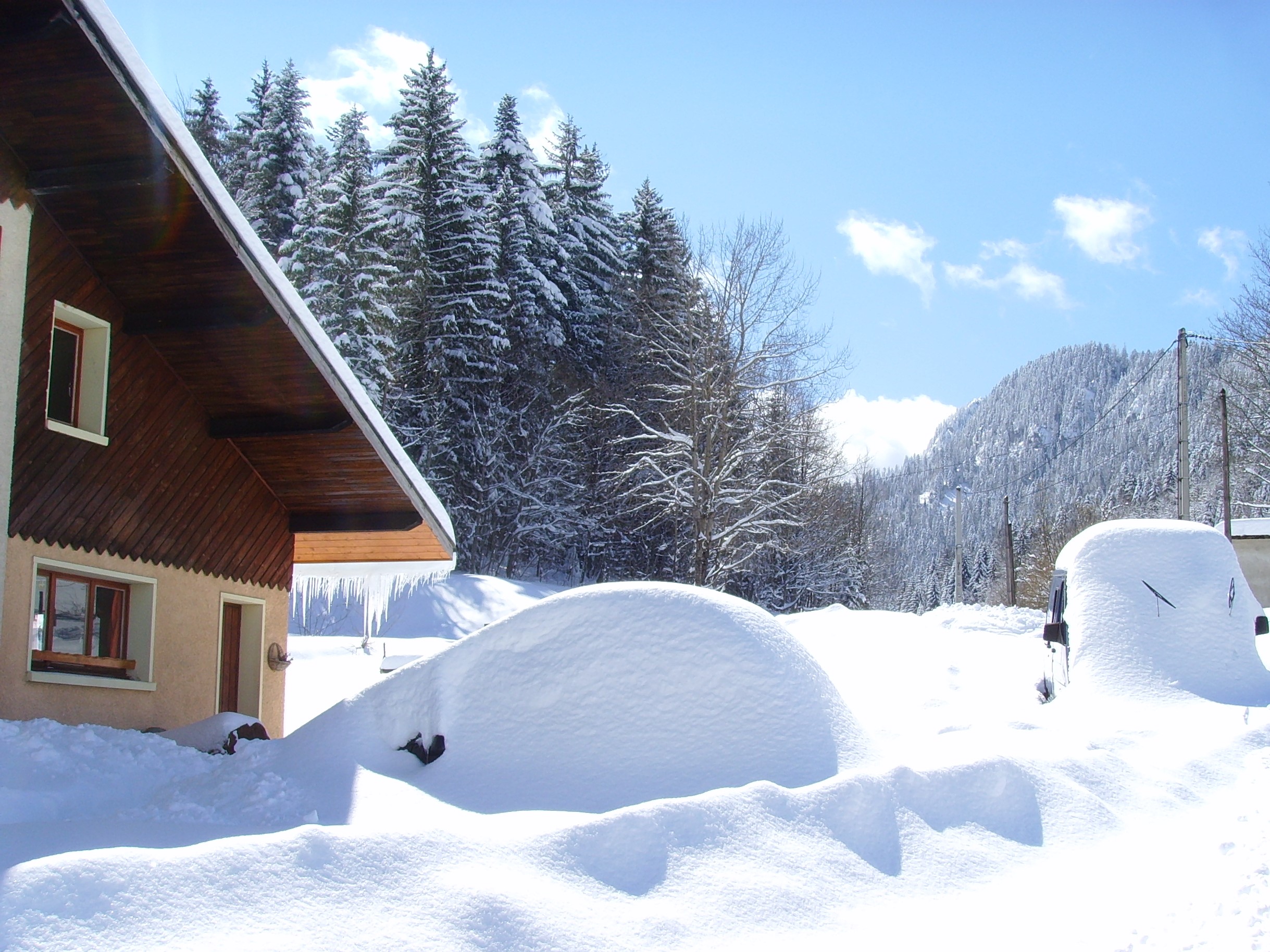 Winter cocoon